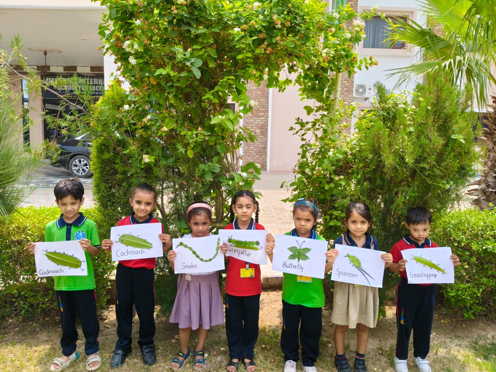 Imperial International School for Excellence  6 